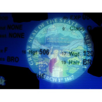 The Complex Landscape of Fake IDs: Navigating Legitimacy, Quality, and Accessibility