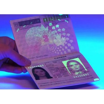 The Unsung Heroes of Social Freedom: Celebrating the Positive Impact of Fake IDs