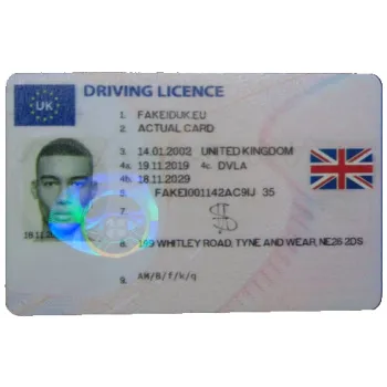 Fake IDs & New Identities: Risks, Legality, and Ethical Considerations