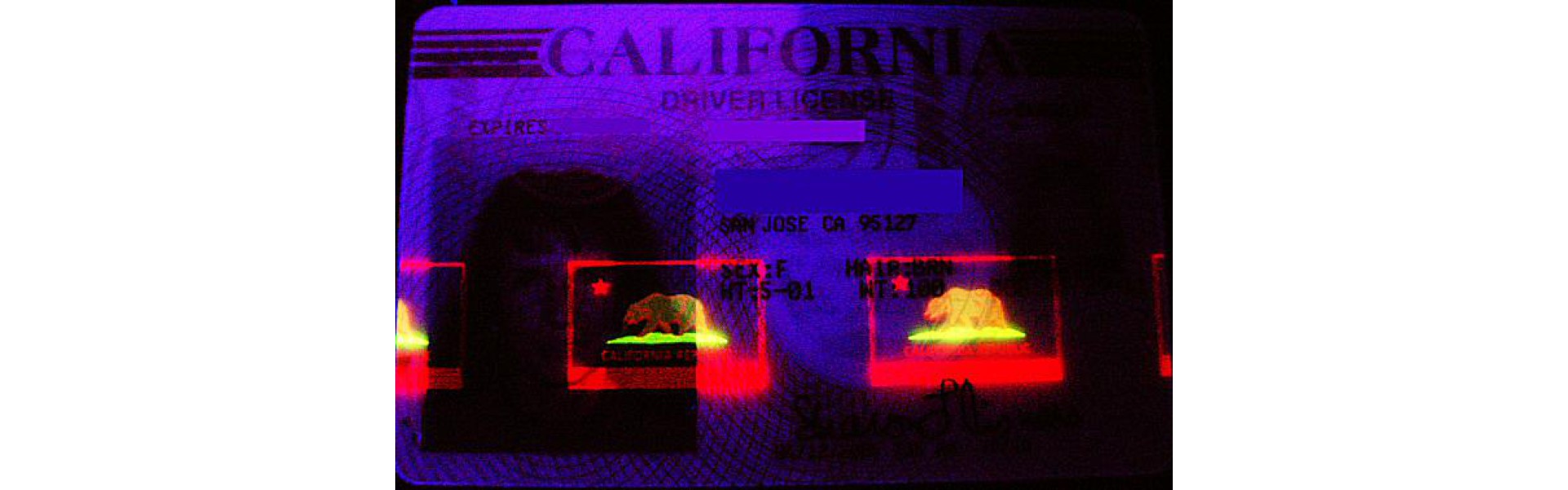 https://www.fakeidwebsite.com/image/cache/catalog/Blog/Blog%20Posts/UV%20Fake%20ID%20Counterfeiting%20Measures-1920x600.jpg