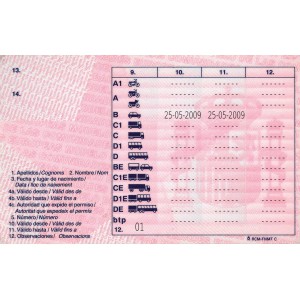 Fake Spanish Drivers License
