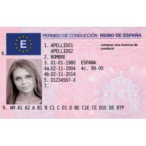 Fake Spanish Drivers License