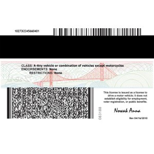 Fake California Drivers License