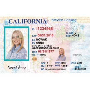 Fake California Drivers License