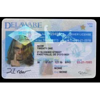 Fake Delaware Drivers License