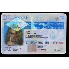 Fake Delaware Drivers License