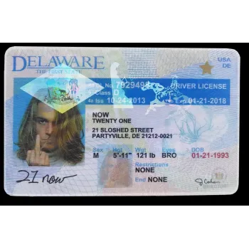 Fake Delaware Drivers License