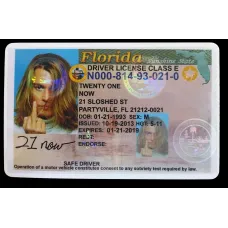 Fake Florida Drivers License