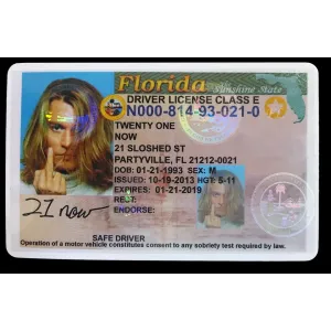 Fake Florida Drivers License