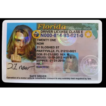 Fake Florida Drivers License