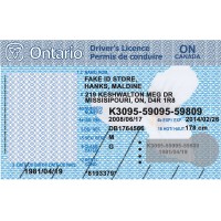 Fake Ontario Drivers License